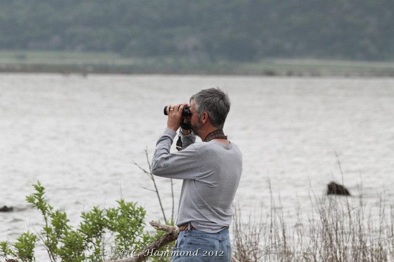 Randy looking for tern.jpg